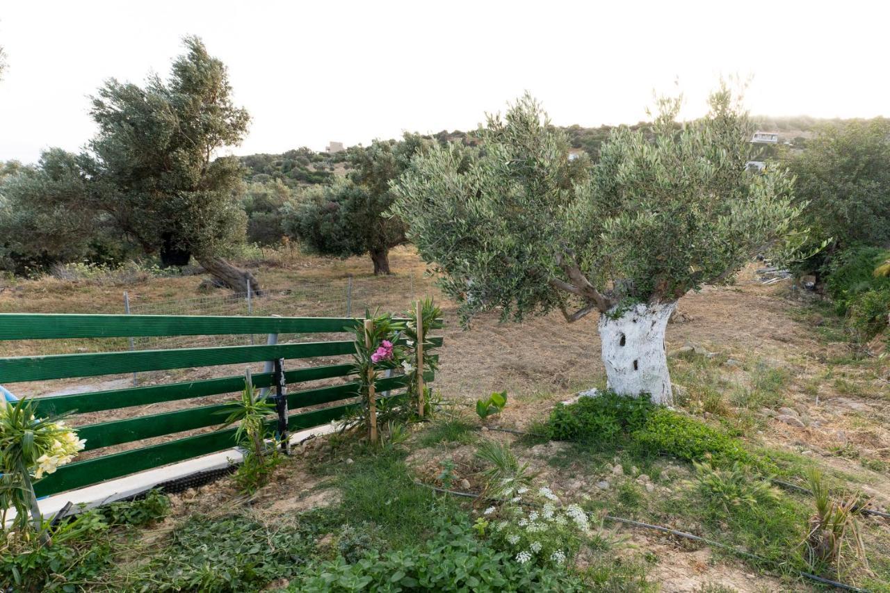 Galini House Villa Triopetra Buitenkant foto