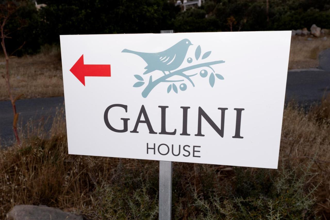 Galini House Villa Triopetra Buitenkant foto