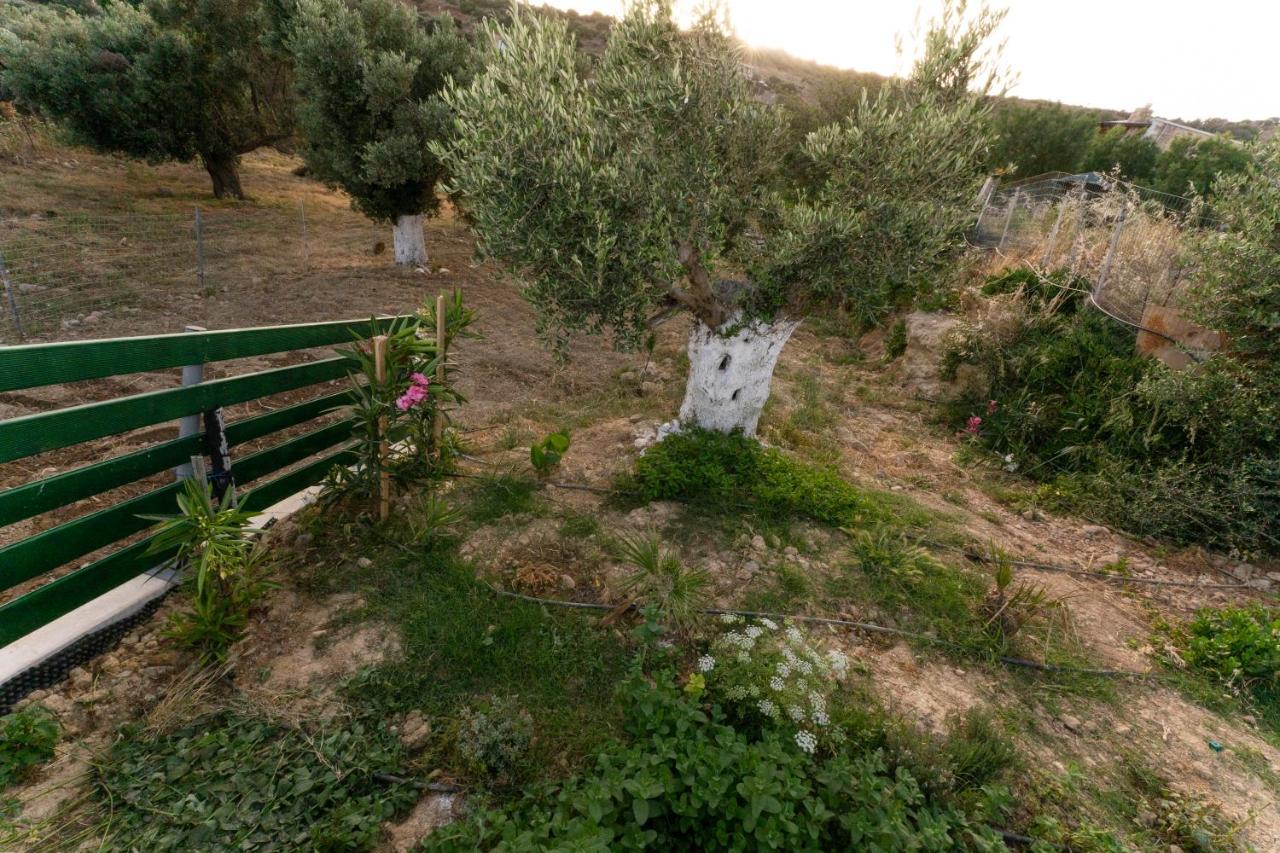 Galini House Villa Triopetra Buitenkant foto